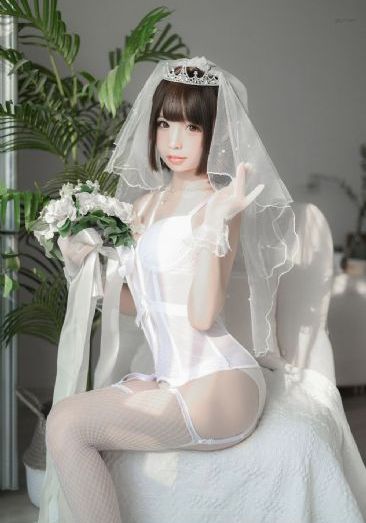 向风而行电视剧免费观看