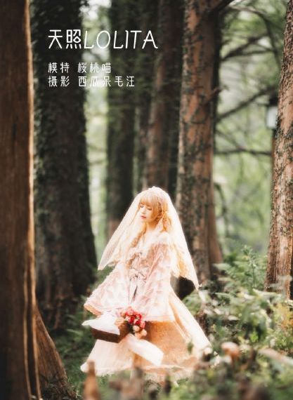 永远的经典影视永远的迷